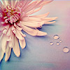cRaZzY_gUrL